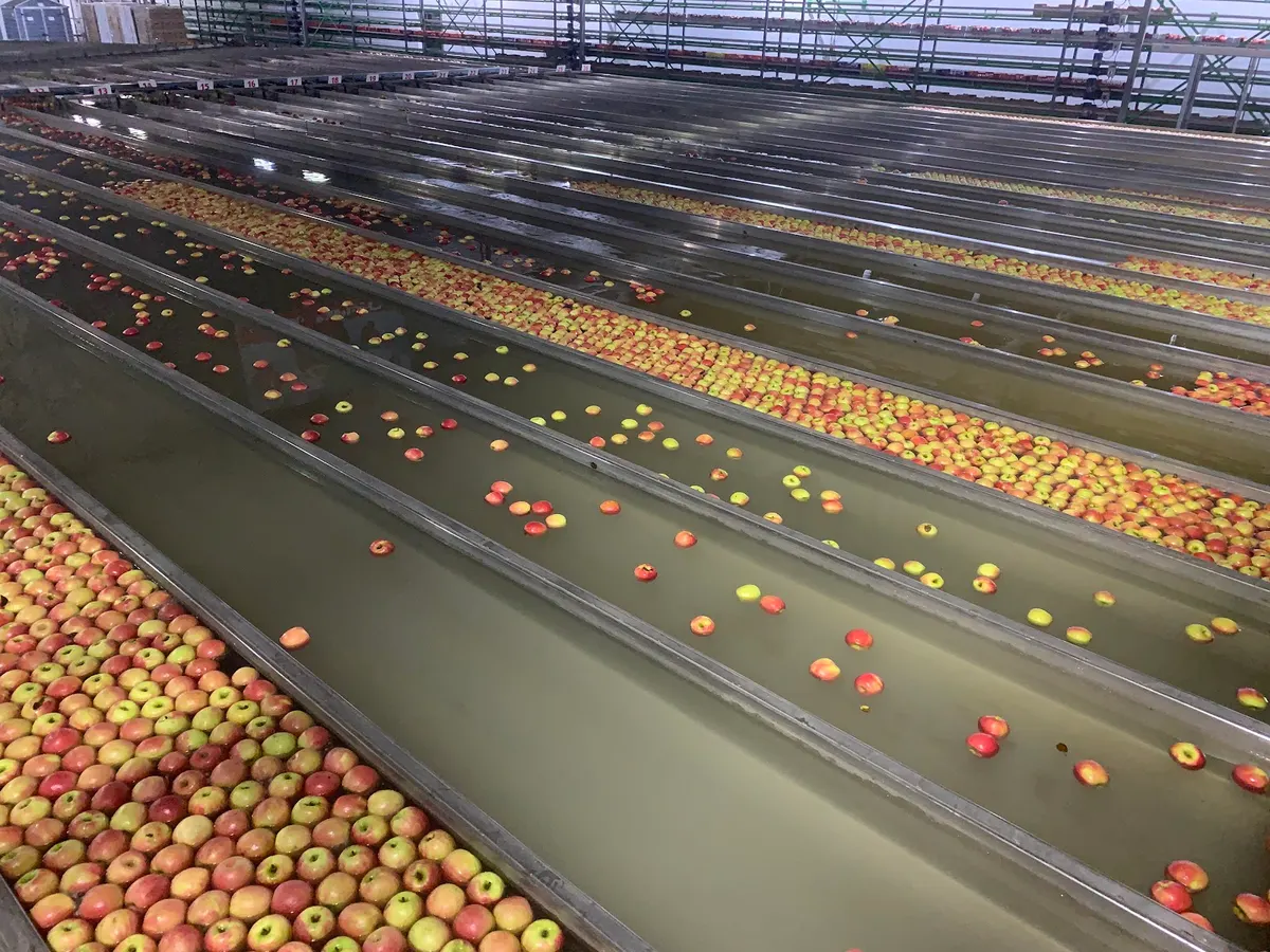 Dès le commencement – La Route du fruit: Centre des visiteurs — L'établissement