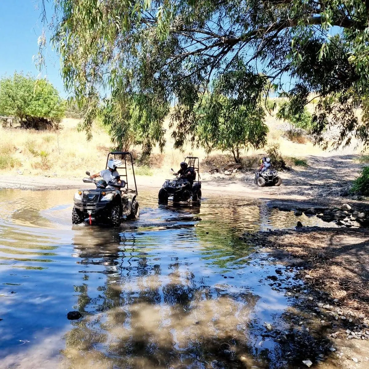 Balades en buggy dans le Golan: une expérience de terrain au nord du Golan. - 3
