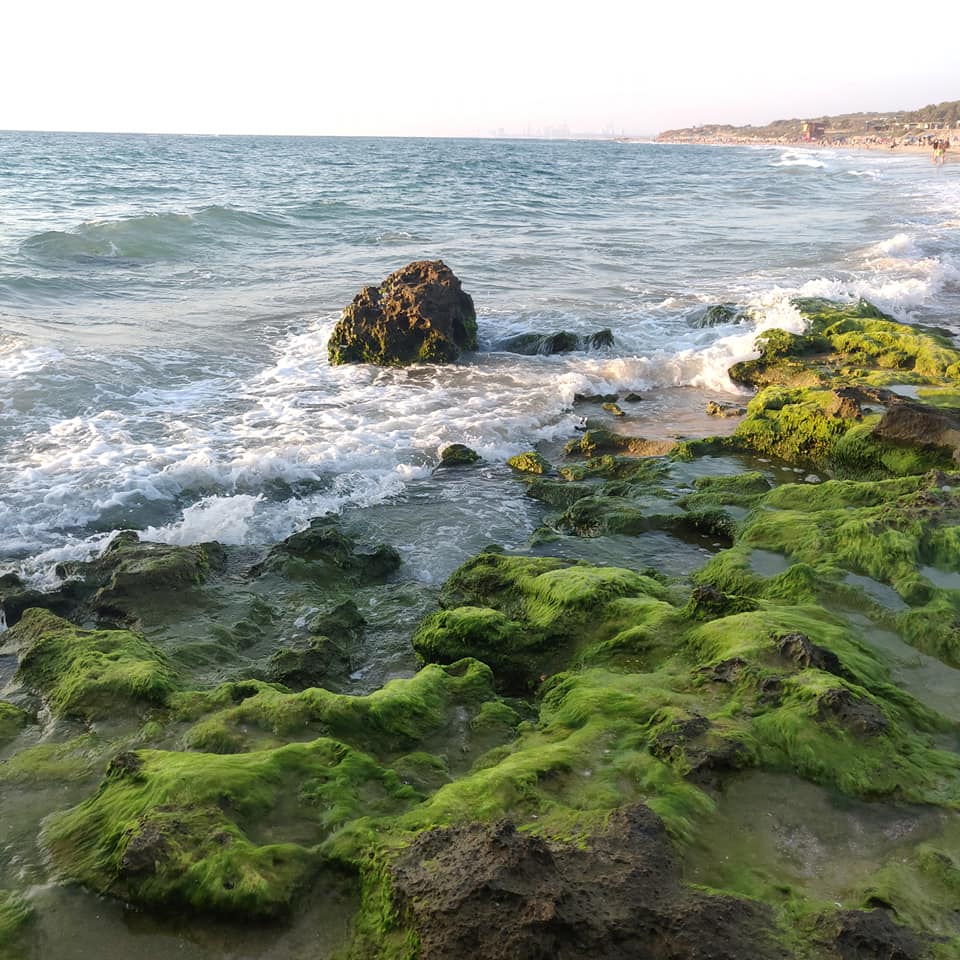 Palmachim Beach - Photo 1